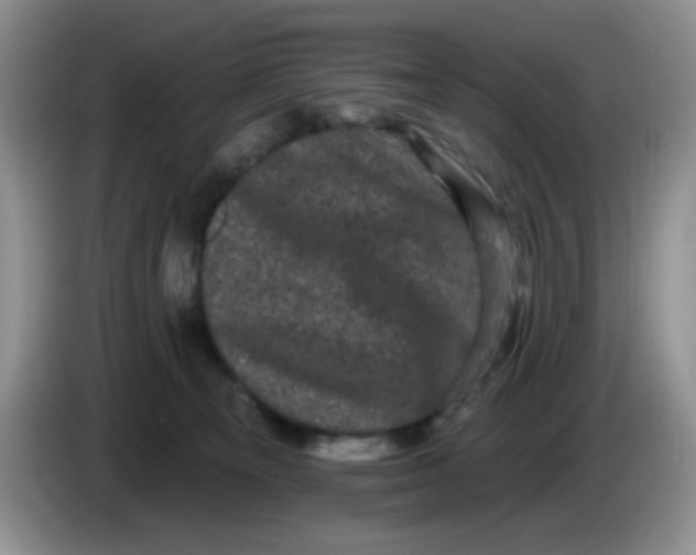 X0000084050129200703092100