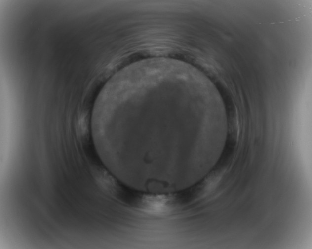 X0000084050131200703092100