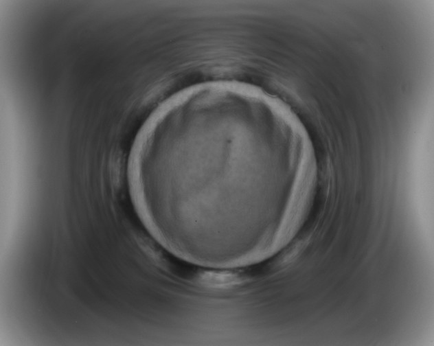 X0000084050133200703092100