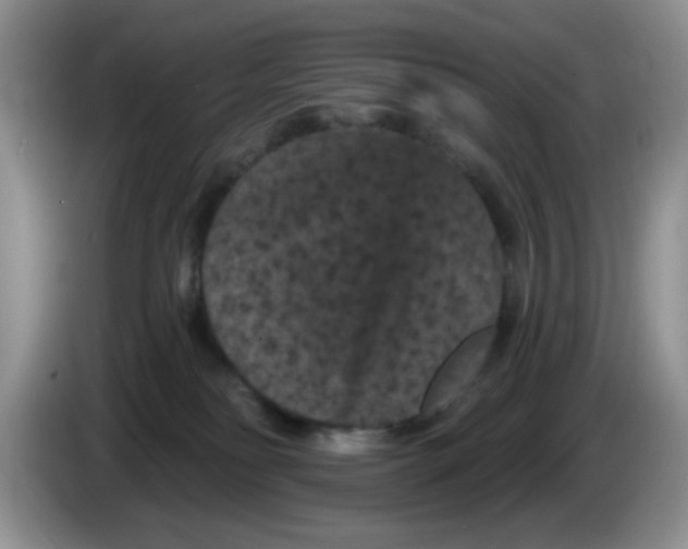 X0000084050134200703092100