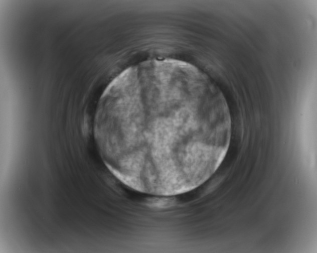 X0000084050135200703092100