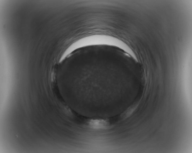 X0000084050137200703092100