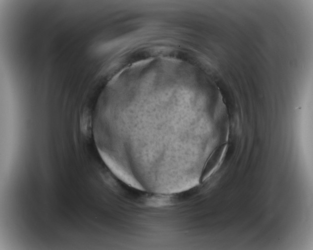 X0000084050138200703092100