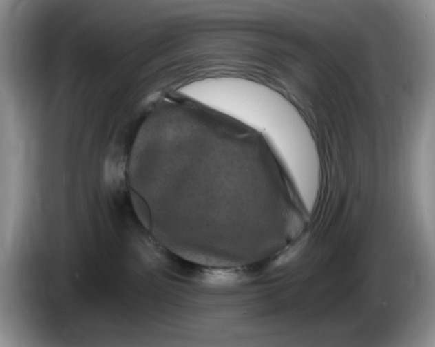 X0000084050141200703092100