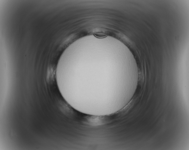 X0000084050142200703092100