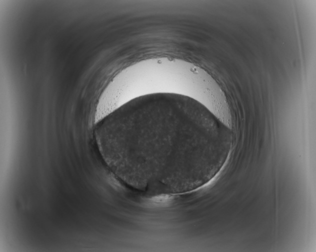 X0000084050144200703092100