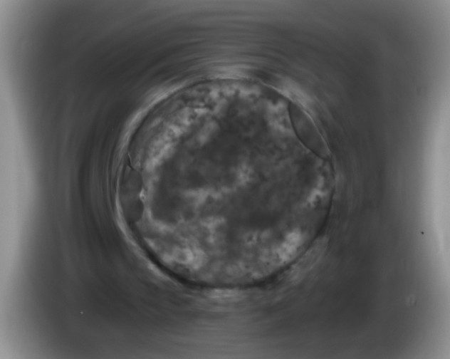 X0000084050145200703092059