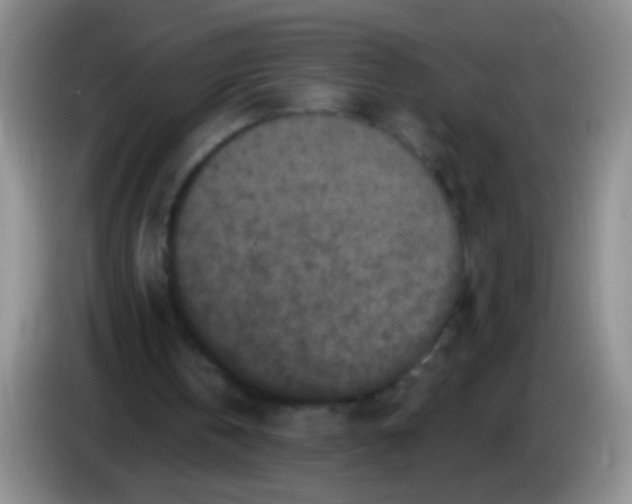 X0000084050146200703092059