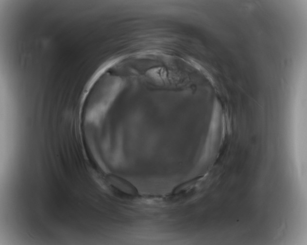 X0000084050147200703092059