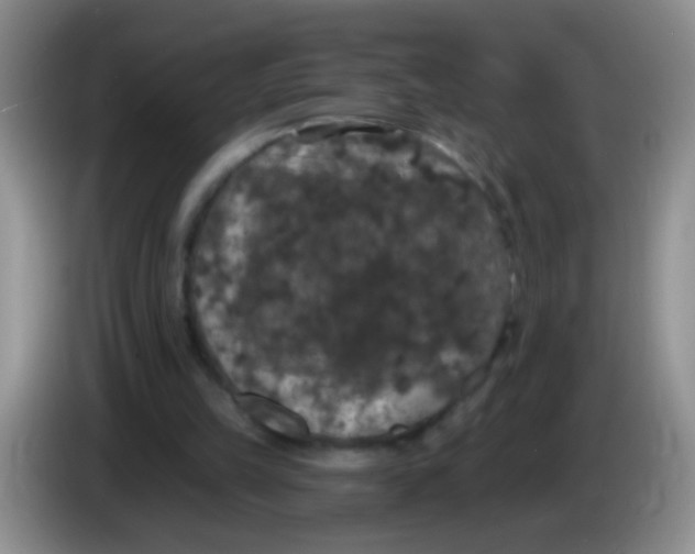 X0000084050149200703092059