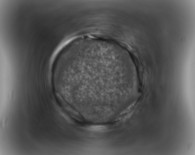 X0000084050150200703092059