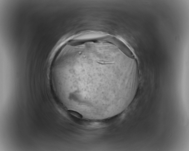 X0000084050151200703092059