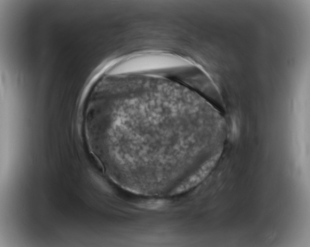 X0000084050152200703092059