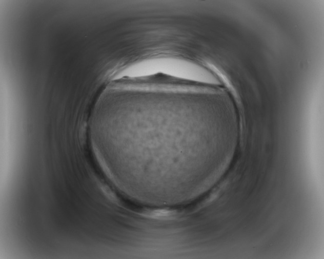 X0000084050153200703092059