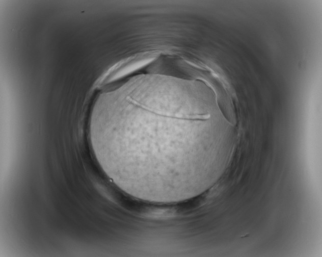 X0000084050155200703092059