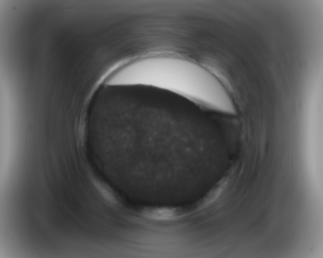 X0000084050156200703092059