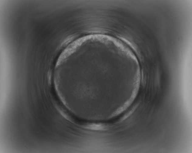 X0000084050157200703092059