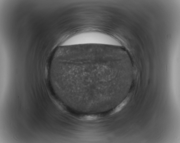 X0000084050158200703092059