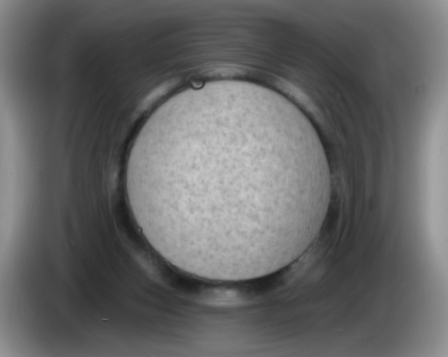 X0000084050159200703092059