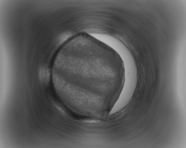 X0000084050160200703092059