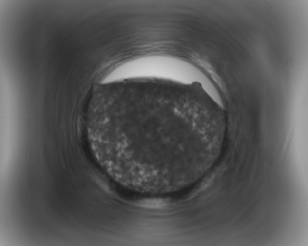 X0000084050161200703092059