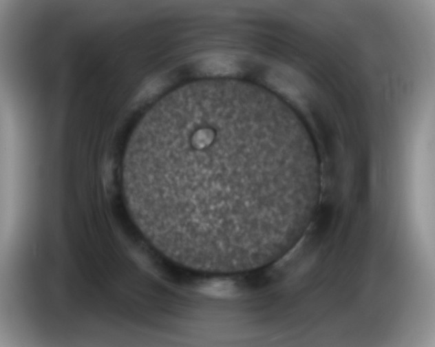 X0000084050162200703092059