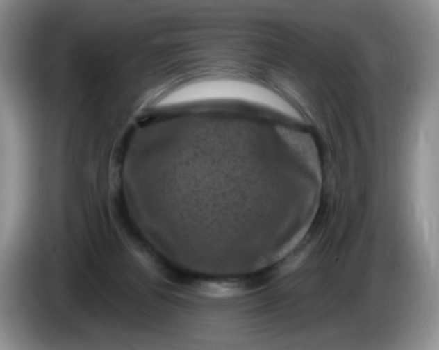 X0000084050164200703092100