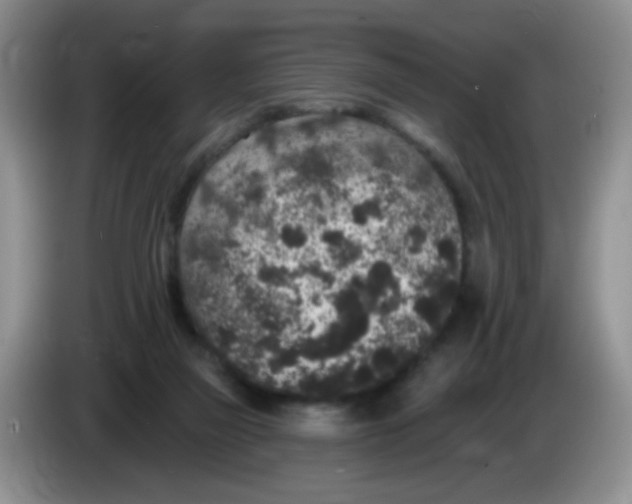 X0000084050165200703092100