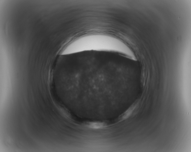 X0000084050168200703092100