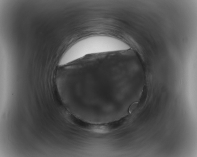 X0000084050169200703092100