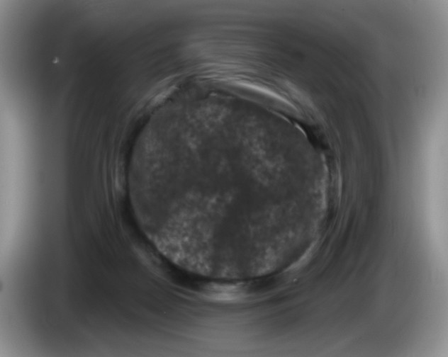 X0000084050170200703092100