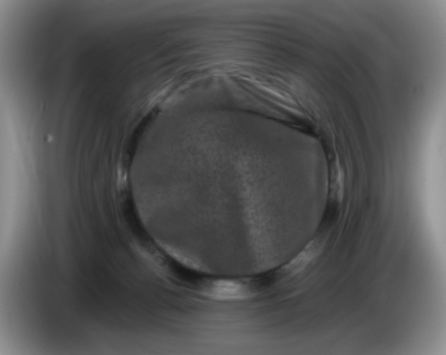 X0000084050176200703092100