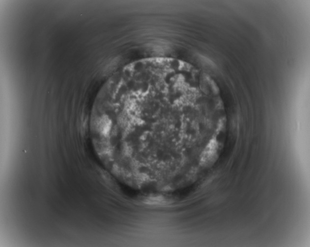 X0000084050177200703092100