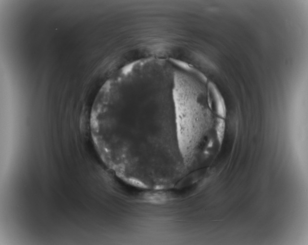 X0000084050181200703092100