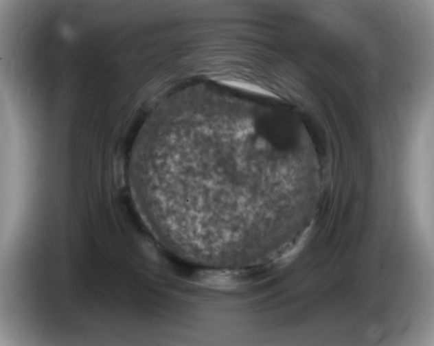 X0000084050182200703092100