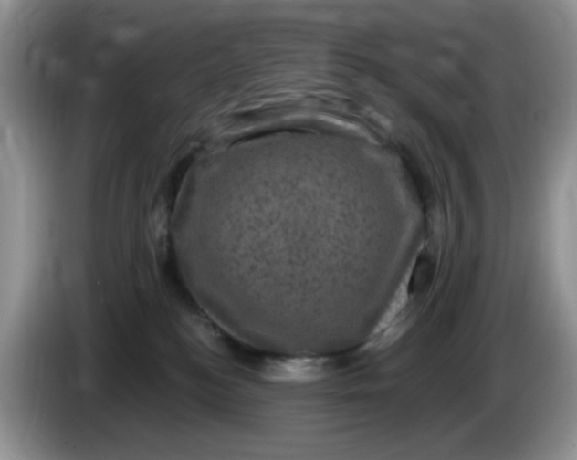 X0000084050184200703092100