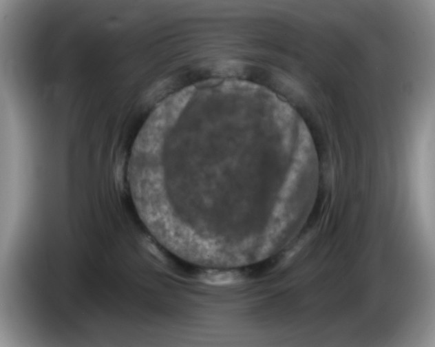 X0000084050185200703092100