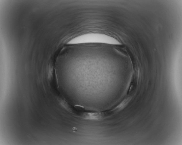 X0000084050188200703092100