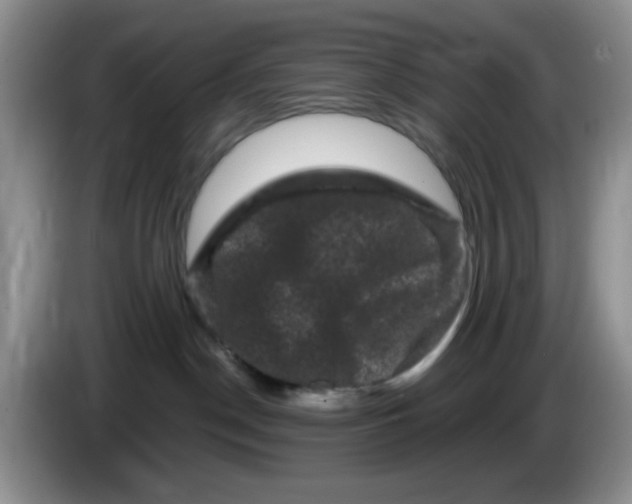 X0000084050190200703092100