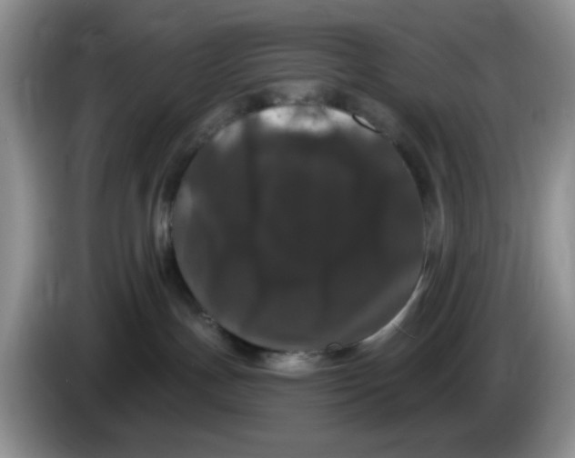 X0000084050191200703092100