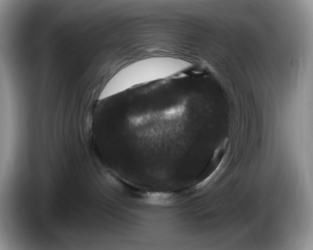 X0000084050192200703092100