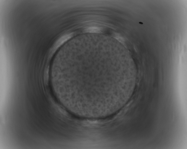 X0000084050194200703092059