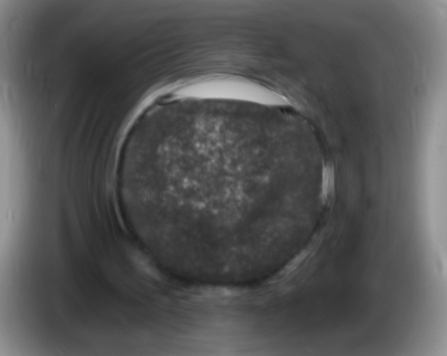 X0000084050195200703092059