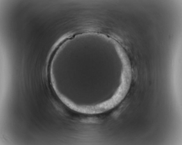 X0000084050196200703092059