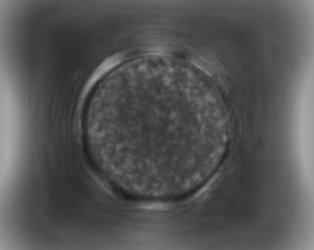 X0000084050198200703092059