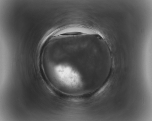 X0000084050199200703092059