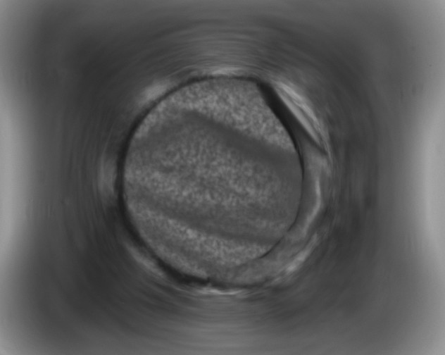 X0000084050201200703092059