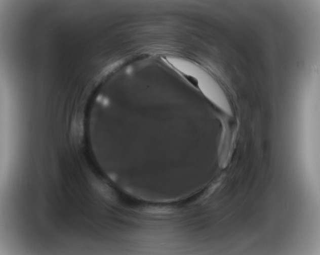 X0000084050202200703092059