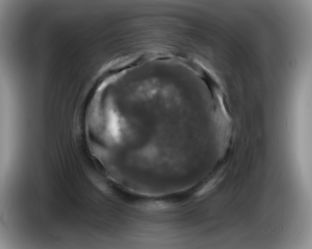 X0000084050203200703092059