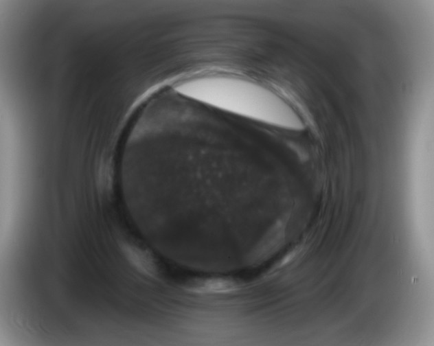 X0000084050204200703092059